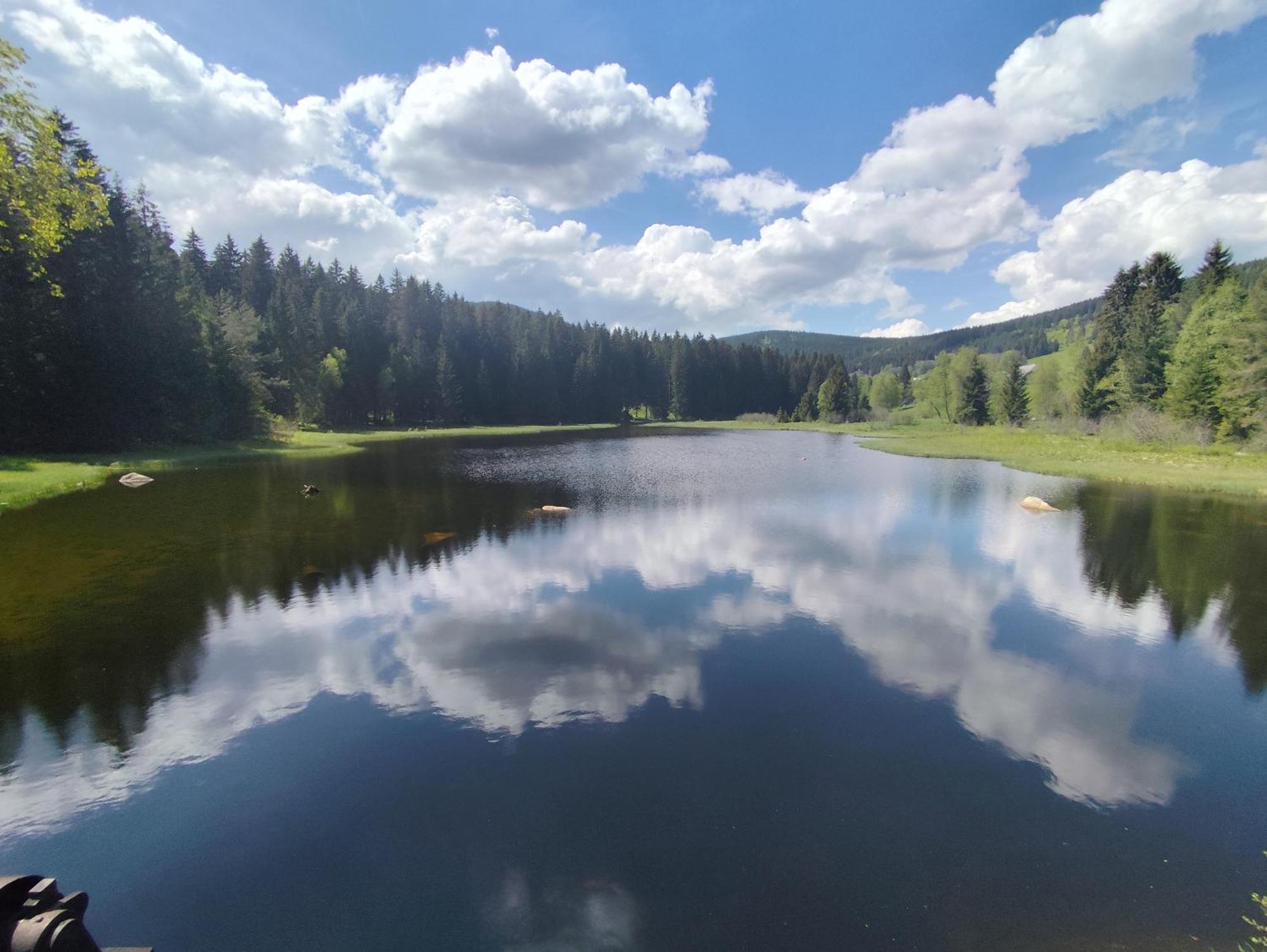 Blackforest Perla Höchenschwand Екстериор снимка